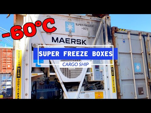 Super Freeze Shipping Containers -60 Degrees Celsius | Life At Sea