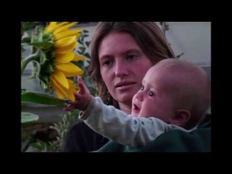 Sexpeace und Greenpeace - Friede der Geschlechter und Friede mit der Natur