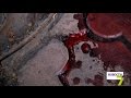 ПОЯВИЛОСЬ ВИДЕО ЖЕСТКОГО НАПАДЕНИЯ ФАНАТОВ В ОДЕССЕ НА ТУРЕЦКИХ БОЛЕЛЬЩИКОВ