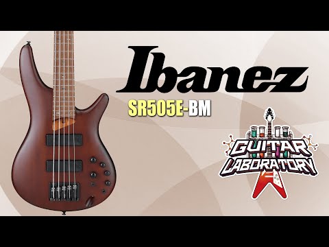 Обзор бас-гитары Ibanez SR505E