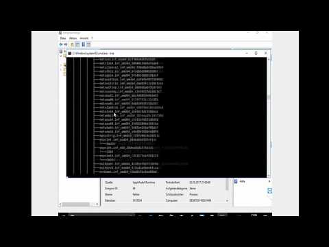 Anruf beim "Microsoft Support" -  Ihr Computer hat 92% Virus!