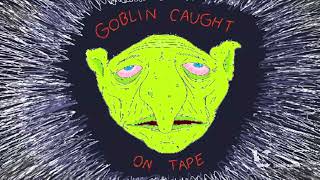 Goblin Caught on Tape/Williams Street (2022)
