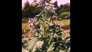 Moby &amp; Public Enemy - Make Love Fuck War (Simone Pennisi Bootleg Mix)