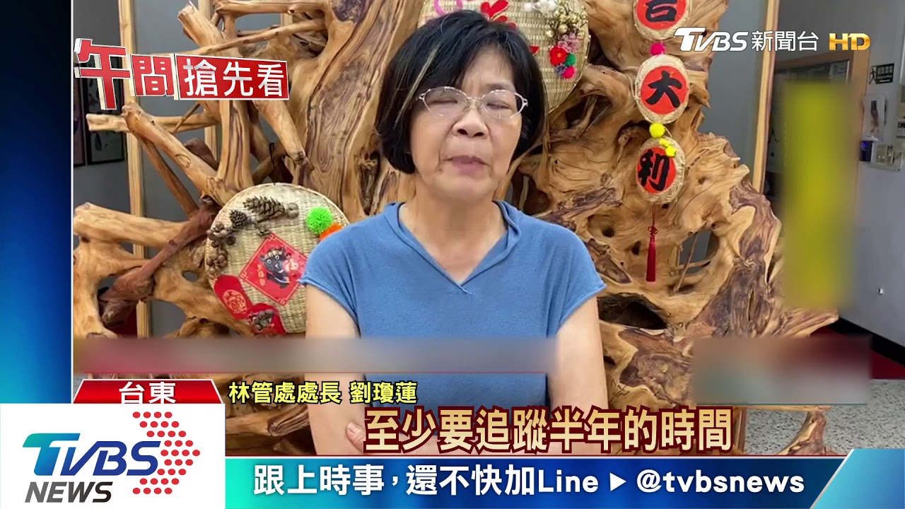 畢業了！通過野訓　廣原小熊野放中央山脈