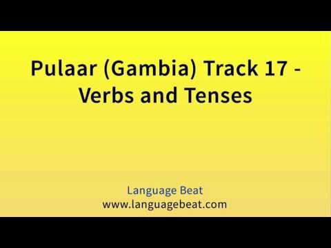 Learn Pulaar (Gambia)  Lesson 17   :  Pulaar (Gambia)  Phrases for Beginners