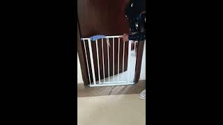 How to Easily Install the Child Safety Gate / Barrier