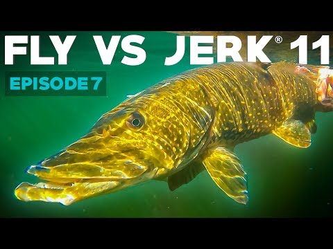 FLY VS JERK 11 - Episode 7 - River Day