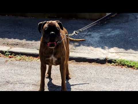 Filippo e Naif 17 08 2017