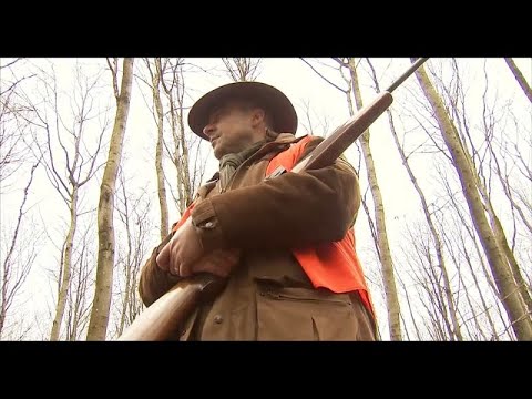 Die EU-Kommission mahnt Italien wegen Jagd ab