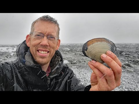 Camping, Fishing & Clamming in a Snow Storm - Coastal Foraging in Alaska