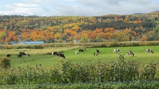preview picture of video 'Charlevoix, Quebec Things to Do'