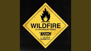 Wildfire (DJ BrainDeaD Remix)