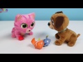 Disney Jr Doc McStuffins Pet Vet Set With Whispers On The Go Pretend Doctor Playset Kidschanel