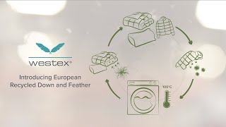 Westex - Introducing Recycled Down and Feather Fill