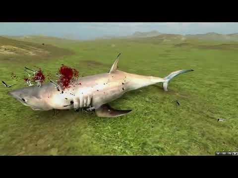 SEAGULL PACK VS EVERY UNIT | BEAST BATTLE SIMULATOR.