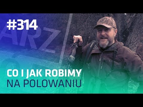 Darz Bór odc 314 - Co i jak robimy na polowaniu