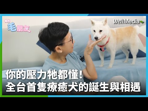你的壓力牠都懂！療癒犬命中注定的相遇與使命？竟與牠的暱稱「柴貓」有關！【我的毛朋友】EP3