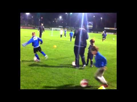 Stormvogels Lichttraining F en E pupillen.