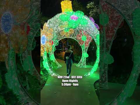 Hoffman's Chocolates Winter Wonderland at Flamingo Gardens in Davie, Florida