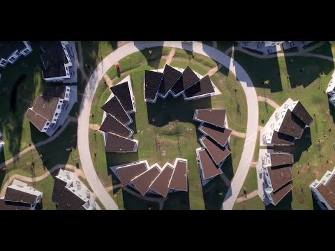 Vakantiepark Hechtel-Eksel l Ecostruct - Building a Better place l Circulair bouwen met CLT