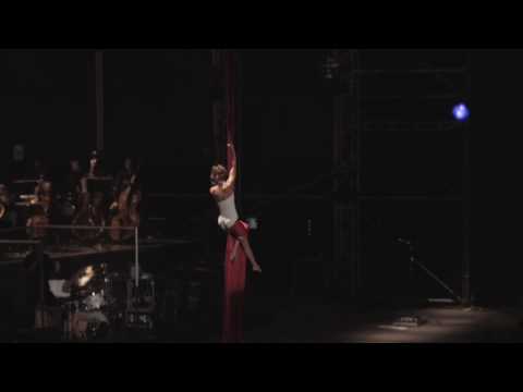 Ligabue - "Piccola stella senza cielo" (Arena di Verona)