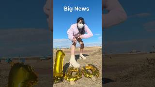 ビッグニュース #shorts