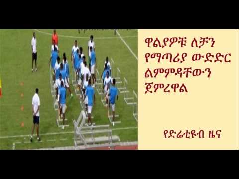 DireTube Sport - Walias started their training for CHAN Championship