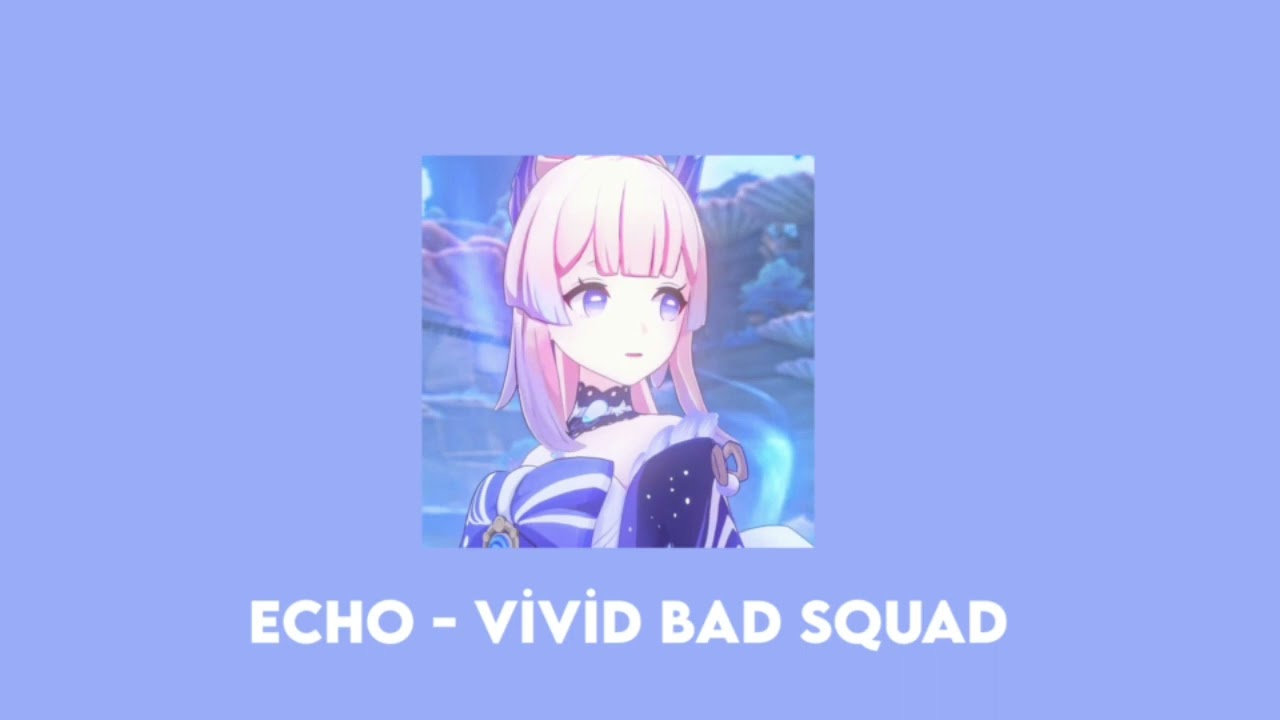 Echo - Vivid Bad Squad × Megurine Luka (Project Sekai)