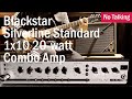 Blackstar Silverline Standard 1x10 20 Watt Combo Amp No Talking