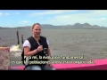 ECHO 20 Virginie André French version ECHO 20 Virginie André French version
