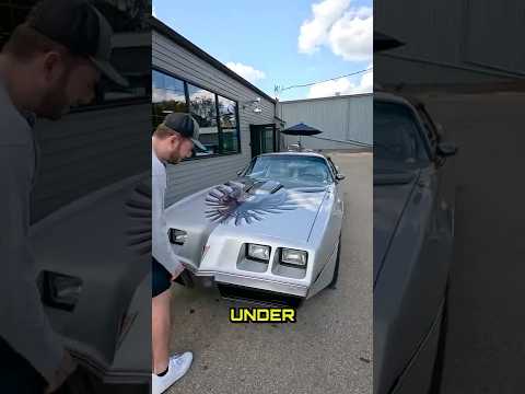 1979 Trans Am Quick Review!