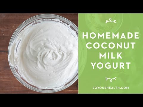 How to Make Homemade Coconut Milk Yogurt