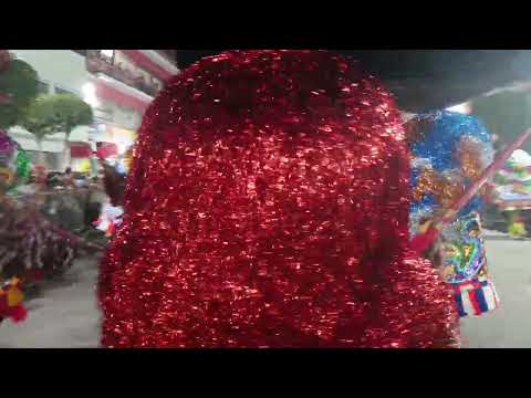 Cambinda brasileira em lagoa de itaenga 17/02/2026