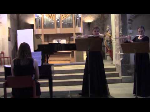 J. C. PEPUSCH. Concerto op. 8, No 5. Largo-Allegro-Largo-Allegro