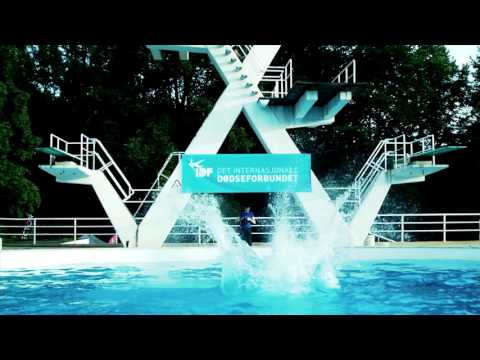 VM i Døds 2011 official film