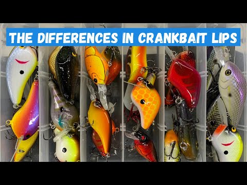 Crankbait Lips 101: How Each Lip Style Affects Lure Action