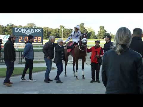 231001 c09 JUMBO (BRZ)