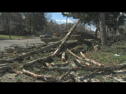 Heavy lifting part of cleanup after wind storm hits Valley