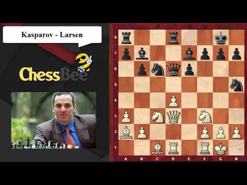 80. Kasparov Vs Larsen