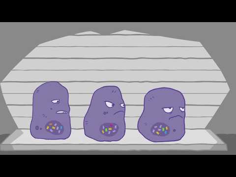 สำหรับผู้ป่วยโรคมะเร็งท่อน้ำดี การกลายพันธุ์เป็นเรื่องสำคัญ