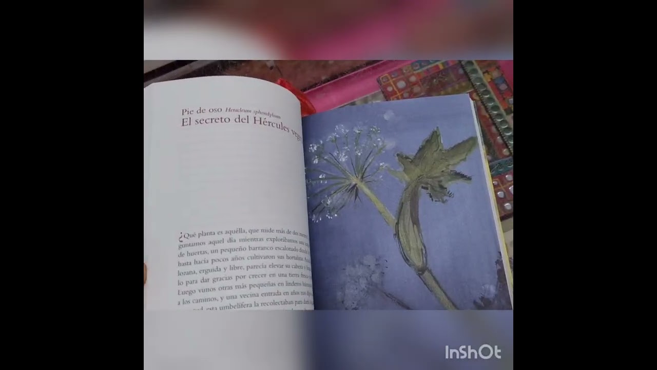 Watch En el camino de las plantas. Now En el camino de las plantas.