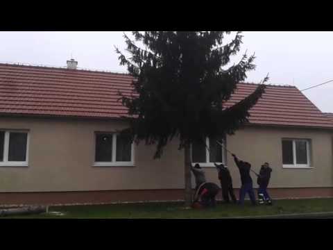 Svoz stromov na faru 19.12.2015 - DHZ Brodské