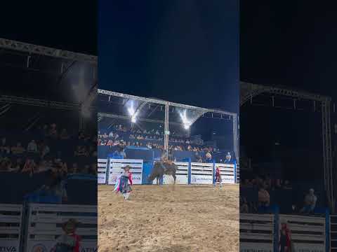 Juliano reys edição santo Antônio de Goiás #rodeio #playvaquejada #pecuarista #fazenda #cowboys
