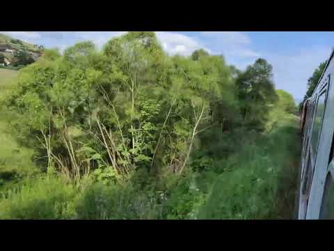 Defileul Mureșului, între Deda și Toplița. Iunie 2023.