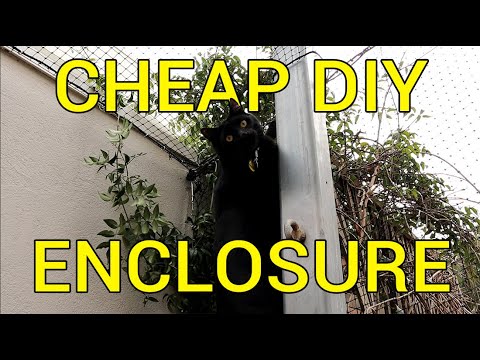 How to Build a Massive and Cheap Cat Enclosure with Basic Tools  - DIY Tutorial