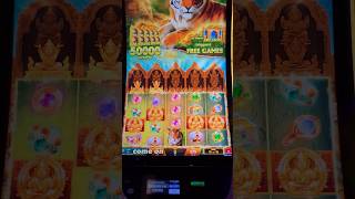 🦁Golden Jungle Wild Spin!