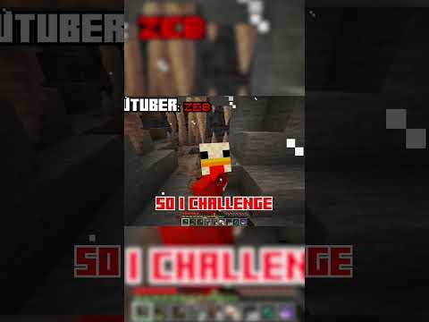 15 Youtubers gave me their hardest minecraft challenges!