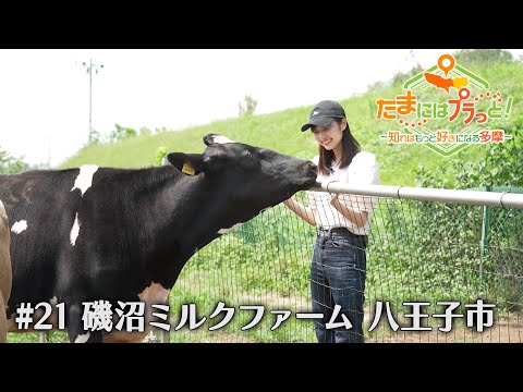 「たまにはプラっと！」　2024年8月23日放送