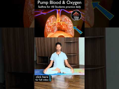 Pump Blood & Oxygen to Your Brain | Yoga for All Students must DO daily!