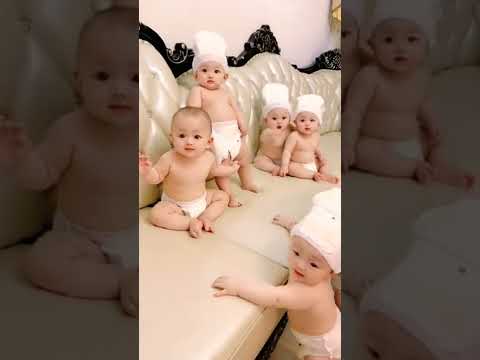 Cuty Baby #babygirl #babyboy #baby #babycat #bbkivines #bb #bbb